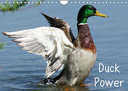 Kalender Duck Power (Wandkalender 2022 DIN A4 quer) von kattobello