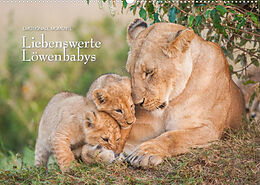 Kalender Emotionale Momente: Liebenswerte Löwenbabys (Wandkalender 2022 DIN A2 quer) von Ingo Gerlach GDT