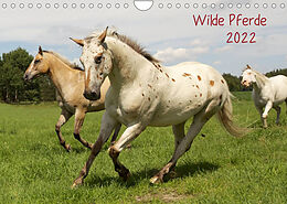 Kalender Wilde Pferde (Wandkalender 2022 DIN A4 quer) von Jens Kalanke