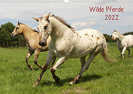 Kalender Wilde Pferde (Wandkalender 2022 DIN A3 quer) von Jens Kalanke