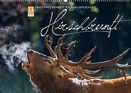 Kalender Emotionale Momente: Hirschbrunft (Wandkalender 2022 DIN A2 quer) von Ingo Gerlach GDT