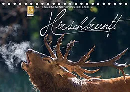 Kalender Emotionale Momente: Hirschbrunft (Tischkalender 2022 DIN A5 quer) von Ingo Gerlach GDT