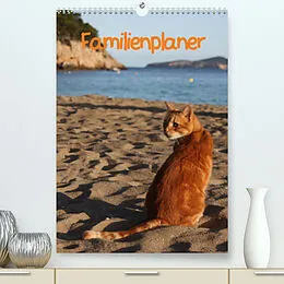 Kalender Familienplaner Katzen (Premium, hochwertiger DIN A2 Wandkalender 2022, Kunstdruck in Hochglanz) von Antje Lindert-Rottke