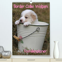 Kalender Border Collie Welpen - Familienplaner (Premium, hochwertiger DIN A2 Wandkalender 2022, Kunstdruck in Hochglanz) von Antje Lindert-Rottke
