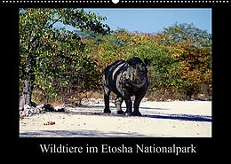 Kalender Wildtiere im Etosha Nationalpark (Wandkalender 2022 DIN A2 quer) von Ewald Steenblock
