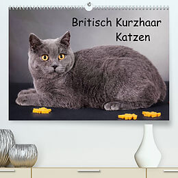 Kalender Britisch Kurzhaar Katzen (Premium, hochwertiger DIN A2 Wandkalender 2022, Kunstdruck in Hochglanz) von Gabriela Wejat-Zaretzke
