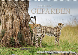 Kalender Emotionale Momente: Geparden (Wandkalender 2022 DIN A2 quer) von Ingo Gerlach GDT