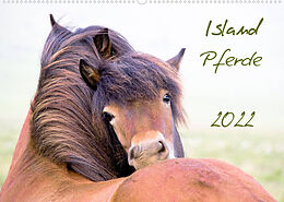 Kalender Islandpferde (Wandkalender 2022 DIN A2 quer) von Frauke Gimpel