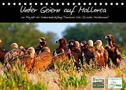 Kalender Unter Geiern auf Mallorca: Ein Projekt der Naturschutzstiftung Vida Silvestre Mediterránea (Tischkalender 2022 DIN A5 quer) von FVSM