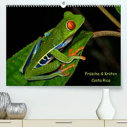 Kalender Frösche & Kröten Costa Rica (Premium, hochwertiger DIN A2 Wandkalender 2022, Kunstdruck in Hochglanz) von Stefan Dummermuth