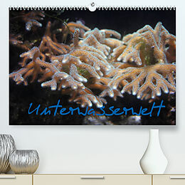 Kalender Unterwasserwelt (Premium, hochwertiger DIN A2 Wandkalender 2022, Kunstdruck in Hochglanz) von Stefanie Wandt