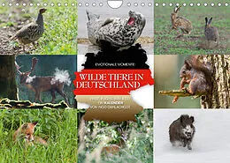 Kalender Emotionale Momente: Wilde Tiere in Deutschland (Wandkalender 2022 DIN A4 quer) von Ingo Gerlach GDT
