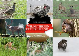 Kalender Emotionale Momente: Wilde Tiere in Deutschland (Wandkalender 2022 DIN A2 quer) von Ingo Gerlach GDT