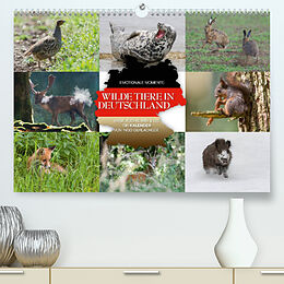 Kalender Emotionale Momente: Wilde Tiere in Deutschland (Premium, hochwertiger DIN A2 Wandkalender 2022, Kunstdruck in Hochglanz) von Ingo Gerlach GDT
