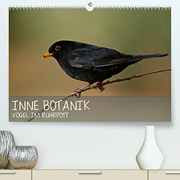 Kalender INNE BOTANIK - Vögel im Ruhrpott (Premium, hochwertiger DIN A2 Wandkalender 2022, Kunstdruck in Hochglanz) von Alexander Krebs