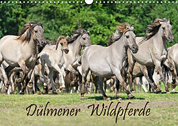 Kalender Dülmener Wildpferde (Wandkalender 2022 DIN A3 quer) von Katho Menden