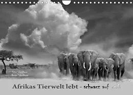 Kalender Afrikas Tierwelt lebt - schwarz auf weiß (Wandkalender 2022 DIN A4 quer) von Heinz Schmidbauer, Renate Schmidbauer