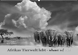 Kalender Afrikas Tierwelt lebt - schwarz auf weiß (Wandkalender 2022 DIN A2 quer) von Heinz Schmidbauer, Renate Schmidbauer