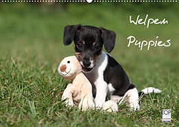 Kalender Welpen - Puppies (Wandkalender 2022 DIN A2 quer) von Jeanette Hutfluss