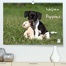 Kalender Welpen - Puppies (Premium, hochwertiger DIN A2 Wandkalender 2022, Kunstdruck in Hochglanz) von Jeanette Hutfluss