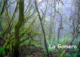 Kalender La Gomera (Wandkalender 2022 DIN A3 quer) von Manfred Betzwieser
