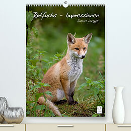 Kalender Rotfuchs - Impressionen (Premium, hochwertiger DIN A2 Wandkalender 2022, Kunstdruck in Hochglanz) von Susanne Danegger