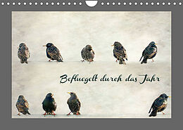 Kalender Beflügelt durch das Jahr (Wandkalender 2022 DIN A4 quer) von Heike Hultsch