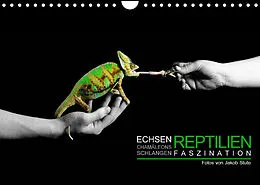Kalender Faszination Reptilien (Wandkalender 2022 DIN A4 quer) von Stute Photo - Jakob Stute