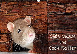 Kalender Süße Mäuse und Coole Ratten (Wandkalender 2022 DIN A3 quer) von Klaus Eppele