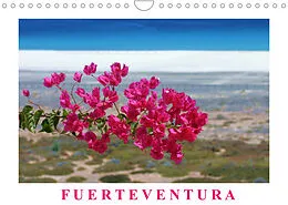 Kalender Fuerteventura (Wandkalender 2022 DIN A4 quer) von Thomas Fietzek