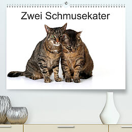 Kalender Zwei Schmusekater (Premium, hochwertiger DIN A2 Wandkalender 2022, Kunstdruck in Hochglanz) von Klaus Eppele
