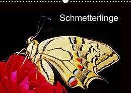 Kalender Schmetterlinge (Wandkalender 2022 DIN A3 quer) von McPHOTO / Bachmeier / Huwiler / Krause / Kreuter / Schreiter / S