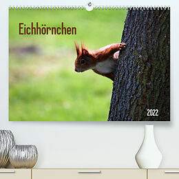 Kalender Eichhörnchen (Premium, hochwertiger DIN A2 Wandkalender 2022, Kunstdruck in Hochglanz) von SchnelleWelten