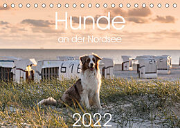 Kalender Hunde an der Nordsee (Tischkalender 2022 DIN A5 quer) von Heidi Bollich