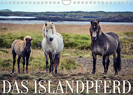 Kalender Das Islandpferd (Wandkalender 2022 DIN A4 quer) von Hannah Krämer