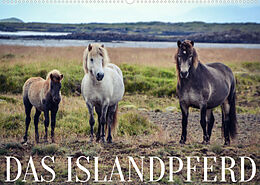 Kalender Das Islandpferd (Wandkalender 2022 DIN A2 quer) von Hannah Krämer