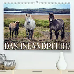 Kalender Das Islandpferd (Premium, hochwertiger DIN A2 Wandkalender 2022, Kunstdruck in Hochglanz) von Hannah Krämer