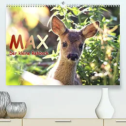 Kalender Max, der kleine Rehbock (Premium, hochwertiger DIN A2 Wandkalender 2022, Kunstdruck in Hochglanz) von Sabine Löwer