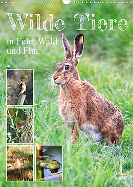 Kalender Wilde Tiere in Feld, Wald und Flur (Wandkalender 2022 DIN A3 hoch) von Sabine Löwer