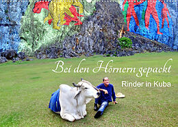 Kalender Bei den Hörnern gepackt - Rinder in Kuba (Wandkalender 2022 DIN A2 quer) von Henning von Löwis of Menar