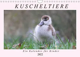 Kalender Kuschel-Tiere - Ein Kalender für Kinder (Wandkalender 2022 DIN A4 quer) von Flori0