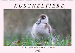Kalender Kuschel-Tiere - Ein Kalender für Kinder (Wandkalender 2022 DIN A2 quer) von Flori0