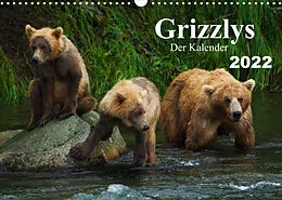 Kalender Grizzlys - Der Kalender (Wandkalender 2022 DIN A3 quer) von Max Steinwald