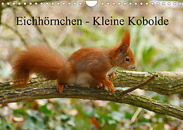 Kalender Eichhörnchen - Kleine Kobolde (Wandkalender 2022 DIN A4 quer) von kattobello
