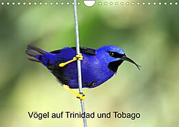 Kalender Vögel auf Trinidad und Tobago (Wandkalender 2022 DIN A4 quer) von Weiterstadt, Dr. W. Brüchle