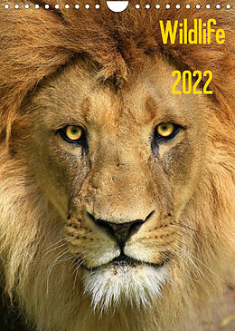 Kalender Wildlife 2022 (Wandkalender 2022 DIN A4 hoch) von Jens Klingebiel