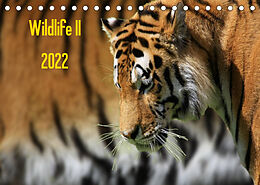 Kalender Wildlife II / 2022 (Tischkalender 2022 DIN A5 quer) von Jens Klingebiel