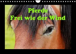 Kalender Pferde Frei wie der Wind (Wandkalender 2022 DIN A4 quer) von Jan Wolf