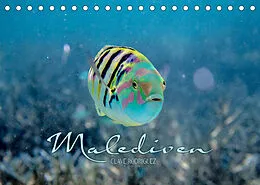 Kalender Unterwasserwelt der Malediven II (Tischkalender 2022 DIN A5 quer) von CLAVE RODRIGUEZ Photography