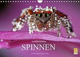 Kalender Wunderschöne Spinnen (Wandkalender 2022 DIN A4 quer) von Luis Manuel Iglesias Nuñez